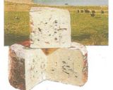 Roquefort A.O.C.